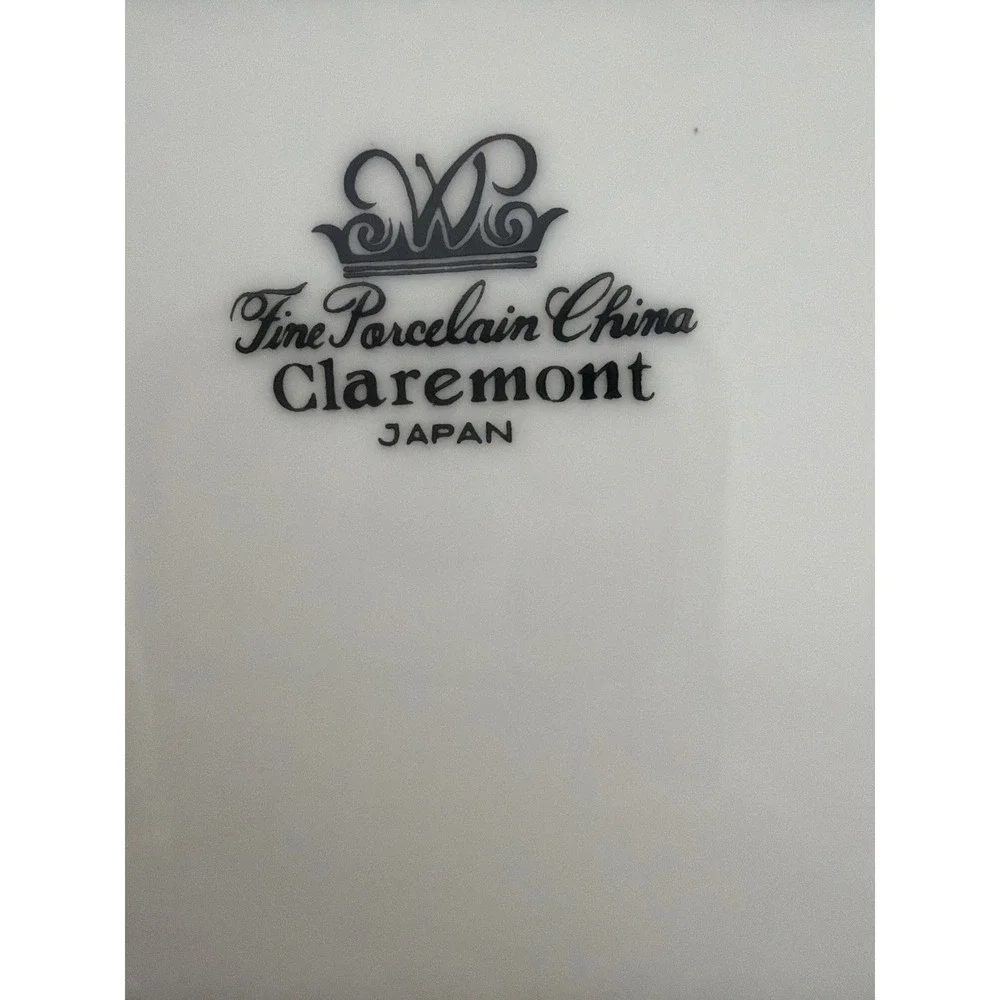 2 Claremont Fine Porcelain China Dinner Plate Japan Floral Vine Silver Rim White